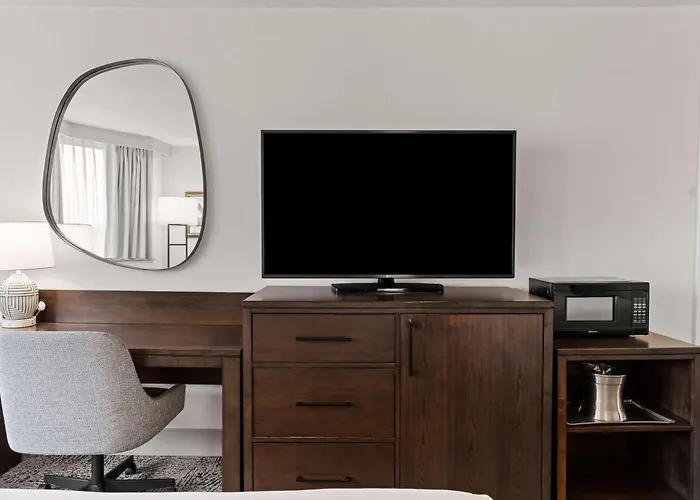 Hilton Arlington National Landing